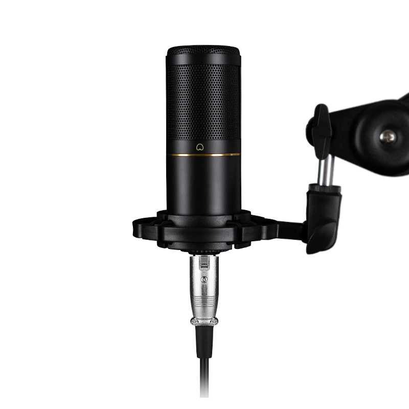 Xlr Microphone Condenser - Professional Podcast Recording XLR Condenser Microphone