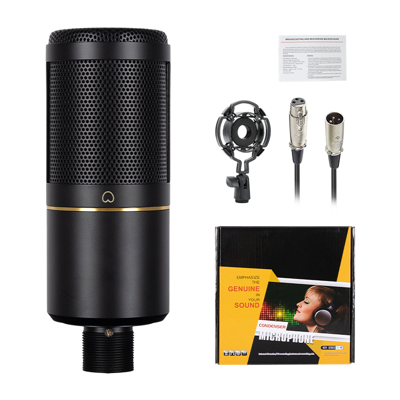 Professional Podcast Recording - Xlr Microphone Condenser ulasan dan harga