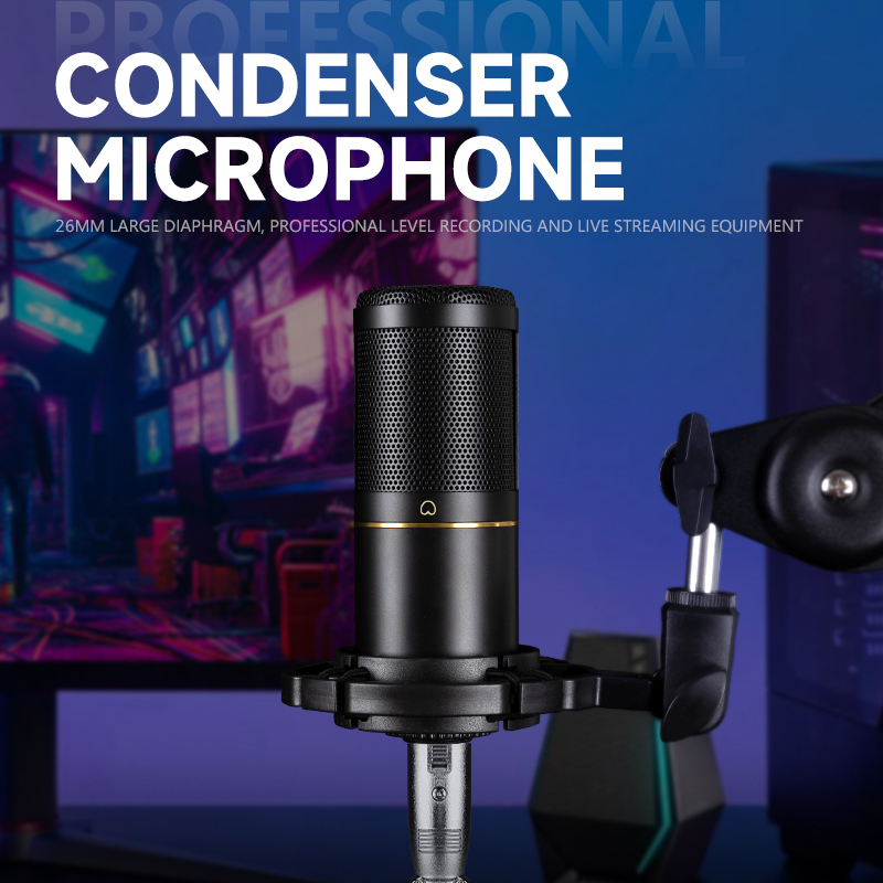 Professional Podcast Recording - Xlr Microphone Condenser ulasan dan harga