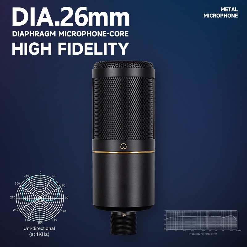 Professional Podcast Recording - Xlr Microphone Condenser ulasan dan harga