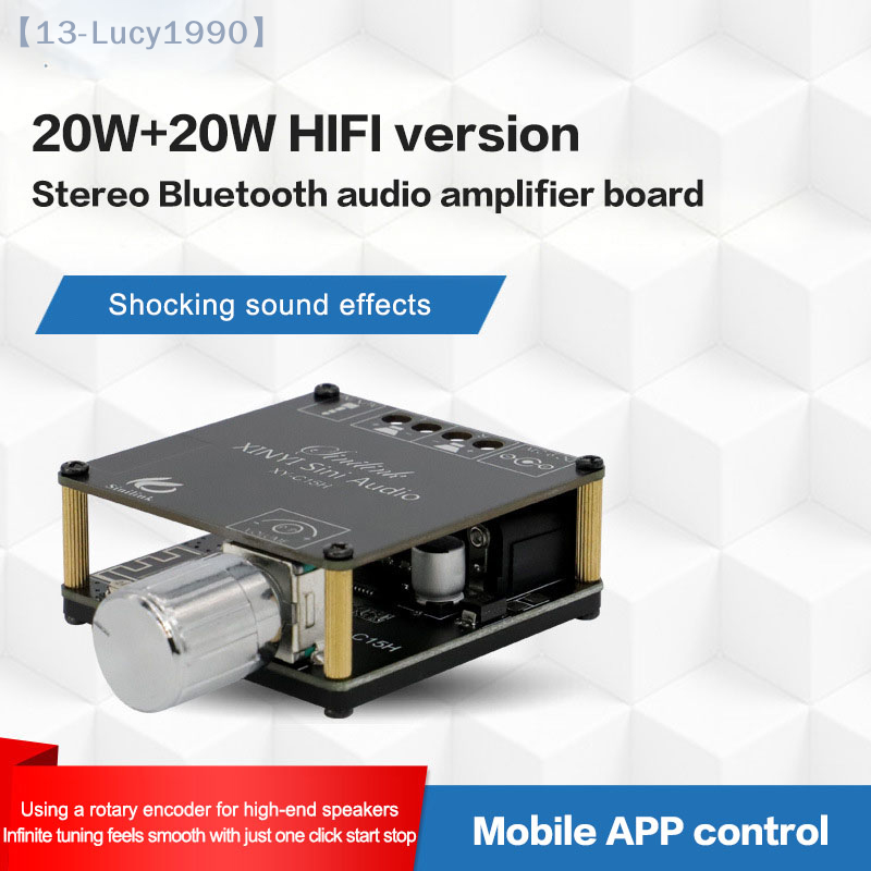 2*20W Bluetooth 5.0 Power Ampl - Audio Music Player App ulasan dan harga